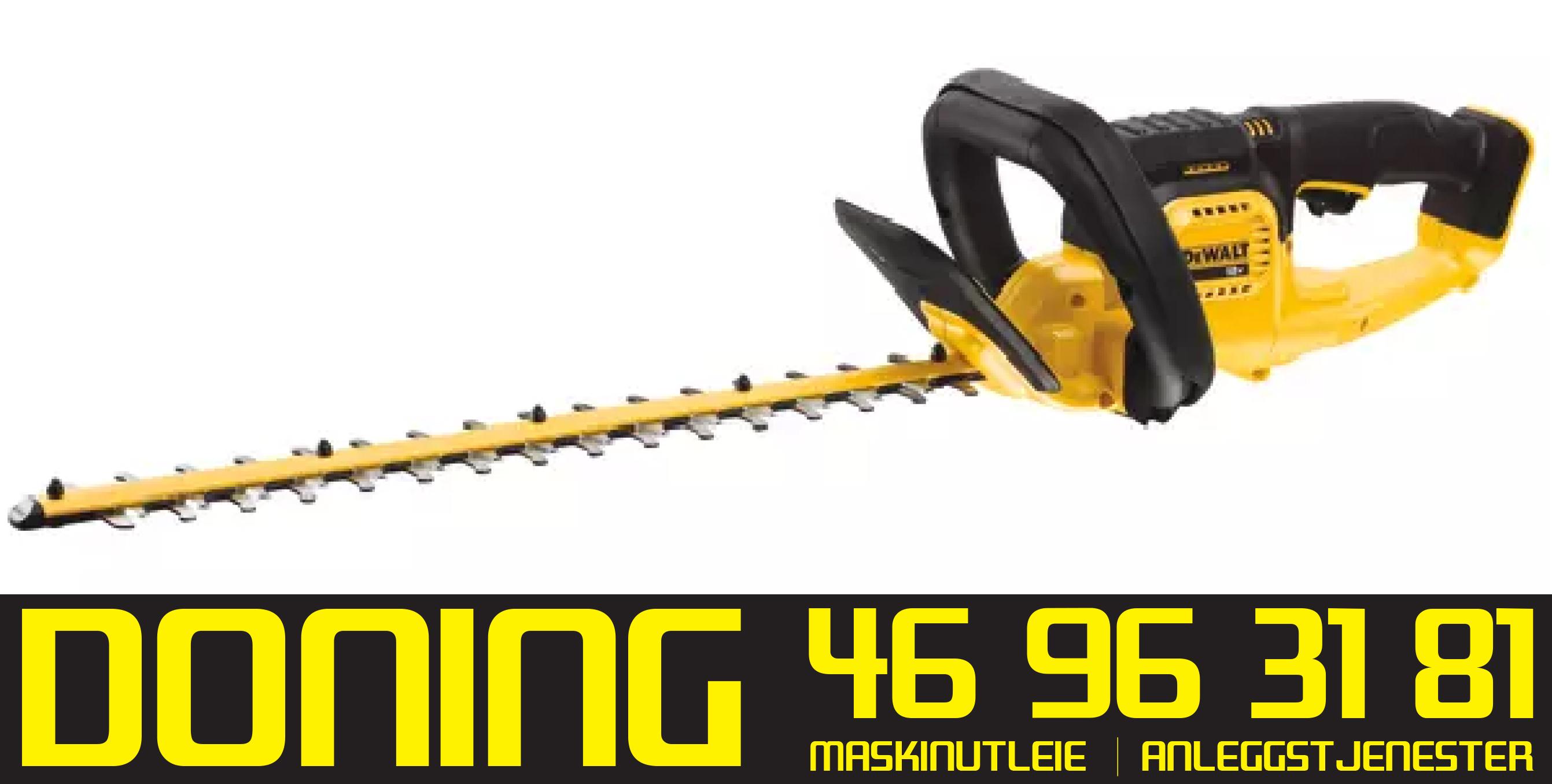 DeWalt hekksaks 18v
